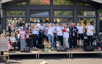 Vierter Blogeintrag 2025