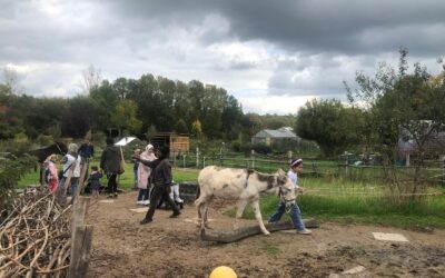 Fünfter Blogeintrag 2025